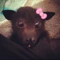 rylee-boo-roo